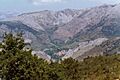 Remolina91