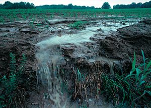 Archivo:Runoff of soil & fertilizer