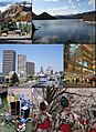 Sagamihara montage