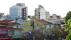 Skyline Palomar.jpg