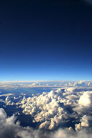 Archivo:Skyshot