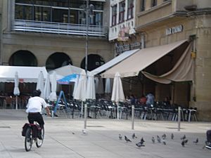 Archivo:Terrazas Plaza del Castillo