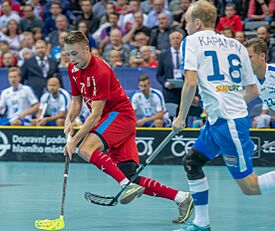 WFC2018 Czech Republic vs Finland Adam Delong 9.jpg