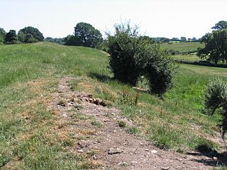 Wat's Dyke near Northop - geograph.org.uk - 202714.jpg