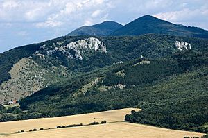 Archivo:Zaruby from plavecke podhradie
