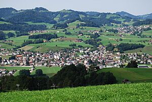 Archivo:2011-08-21-Buetschwil (Foto Dietrich Michael Weidmann) 137
