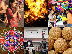 6 images Makar Sankranti collage.jpg