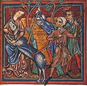 Archivo:82-Oxford Bodley 764- Cervo