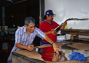 Archivo:Alfonso Santiago Leyva and his son Tomás working
