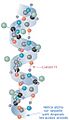 AlphaHelixProtein fr