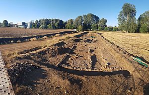 Archivo:Archaeological Excavations Cannaba Pisoraca (Herrera de Pisuerga 2019) 11