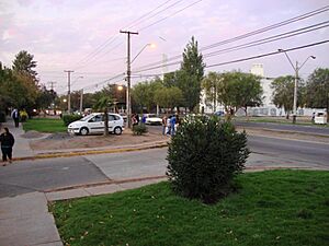 Archivo:Avenida Lo Errazuriz 2010