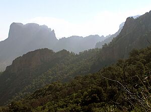 Archivo:Big Bend National Park PB122636