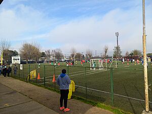 Archivo:Cancha Estadio El Alto 3