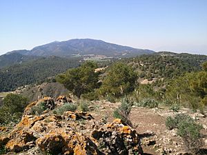 Archivo:Carrascoy desde el Pico del Águiala