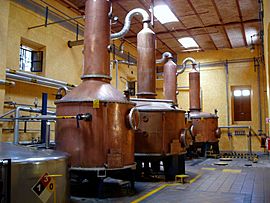 Archivo:Copper tequila stills