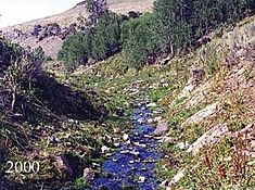 Cottonwood Creek, BLM, Oregon, 2000