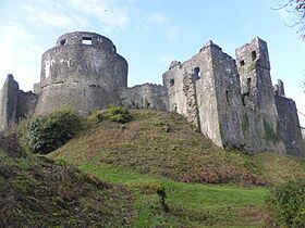 Dinefwr Castle (30551882917).jpg