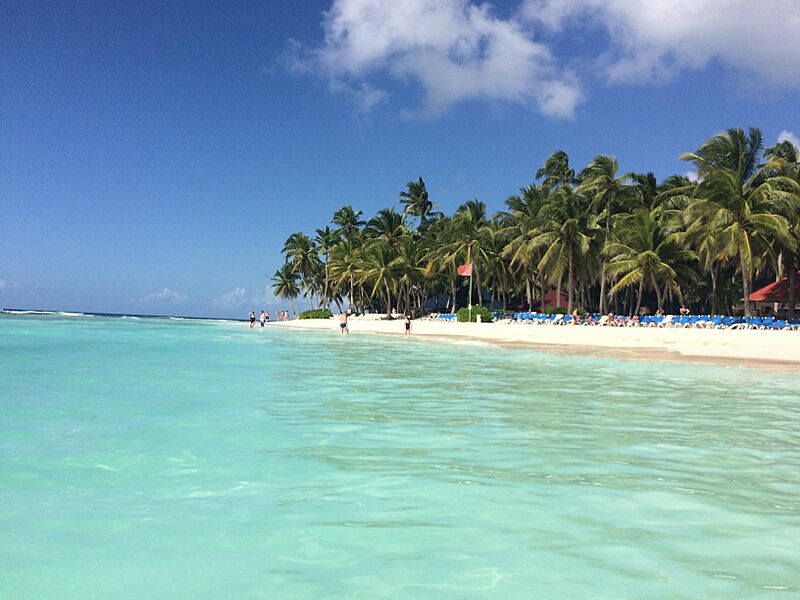 DomRep2018-1