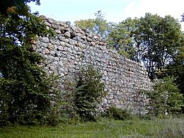 Durbe castle ruins.jpg