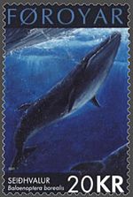 Archivo:Faroe stamp 403 sei whale (Balaenoptera borealis)