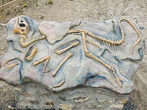 Hypsilophodon icnitas
