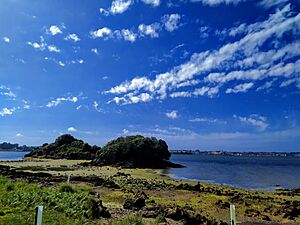 Archivo:Islas de San Juan - Elechas