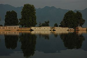 Archivo:Kashmir houseboats