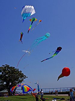 Archivo:Kitesflying