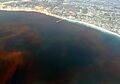 La-Jolla-Red-Tide.780