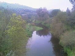 Mañana fria - panoramio.jpg