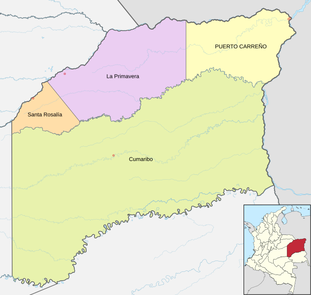 Mapa de Vichada (político)