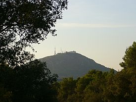 Monte Toro.JPG