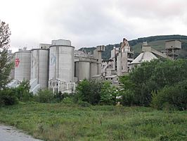 Olazagutia Cement Plant 2.JPG
