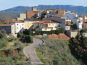 Archivo:Panorámica del municipio El Masroig (Priorat)