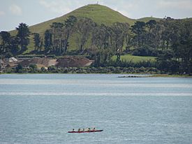 Pinnacle Hill on Puketutu Island.JPG