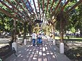 Plaza de Armas de Las Cabras
