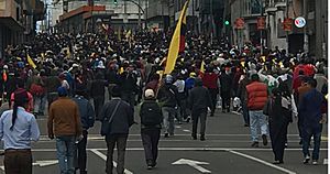 Archivo:Protestas en Ecuador 4
