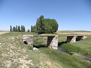 Archivo:PuenteViejoMelque