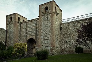 Archivo:Puerta de San Martín