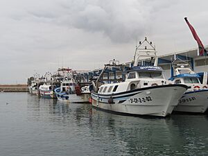 Archivo:Puerto pesquero del Grao de Castellón, España