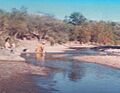 Río Acatlán