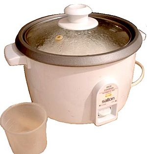 Archivo:Rice-cooker