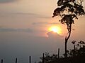 Sol Albania