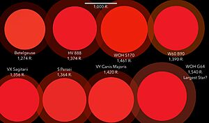 Archivo:Stars Larger than Betelgeuse