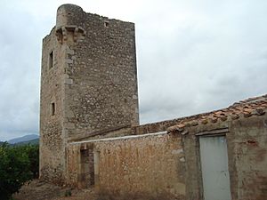 Archivo:Torre Falcó, Torre dels Gats