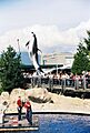Vancouver aquarium dolphin