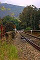 Via do tren. Redondela. Galicia