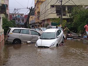 Archivo:2020 Hyderabad floods