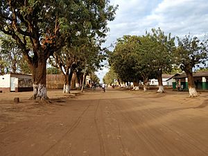 Archivo:A street in Mandimba, Niassa, Mozambique